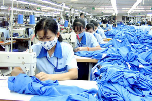 Cung Ung Lao Dong Co Tay Nghe