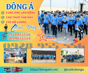 Cung Ứng Lao ĐỘng (6)