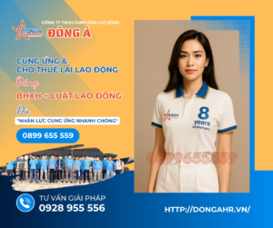 CÔng Ty Tnhh Cung Ứng Lao ĐỘng